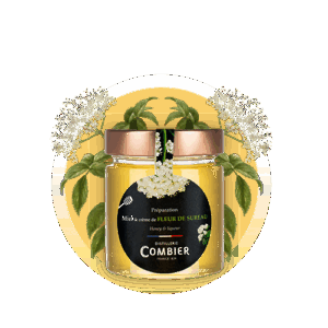 miel fleur de sureau combier